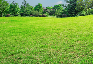 芝刈り高品質のイメージ