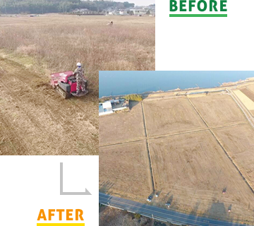 つくばの草刈り例03